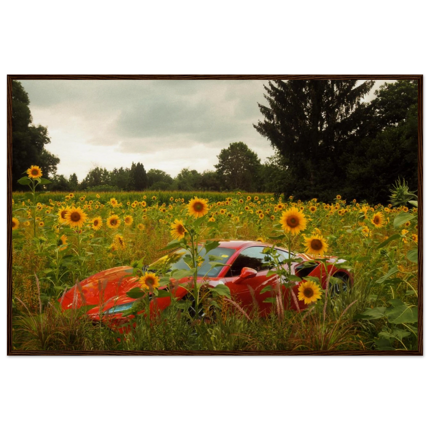 0d947bf7-fdd7-4124-9dfa-73f0f422704f