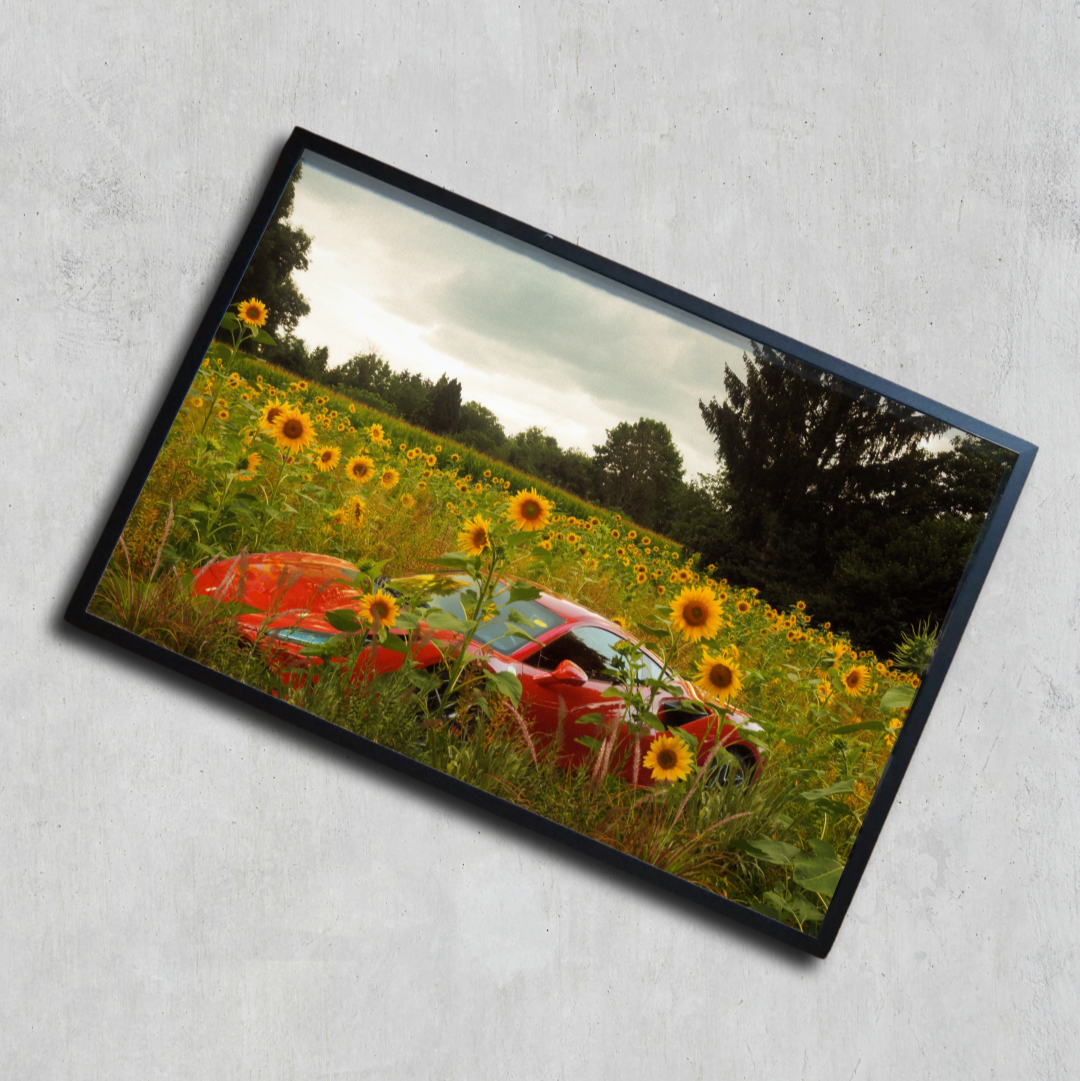 Museum-Quality Matte Paper Poster