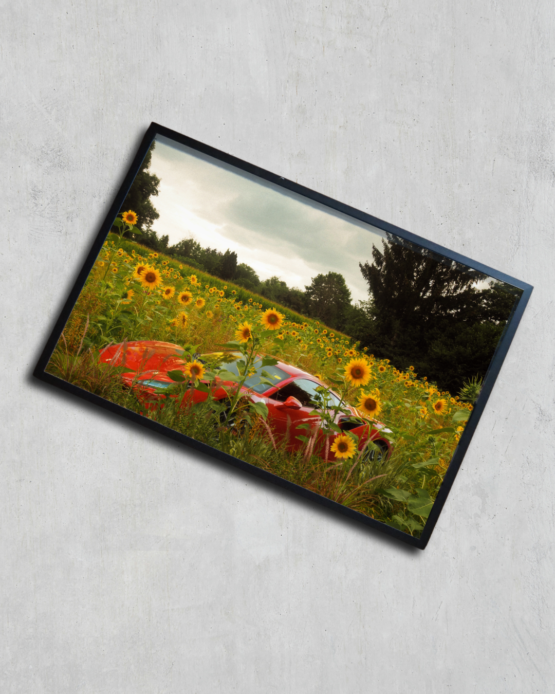 Museum-Quality Matte Paper Wooden Framed Poster
